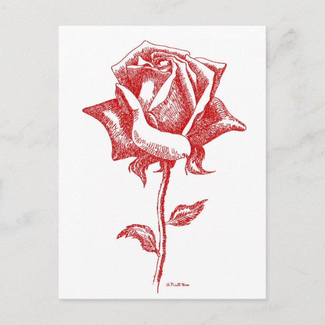 Carte Postale Red Rose Designs (Devant)