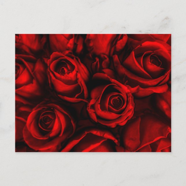 Carte postale Red Rose Elegance (Devant)