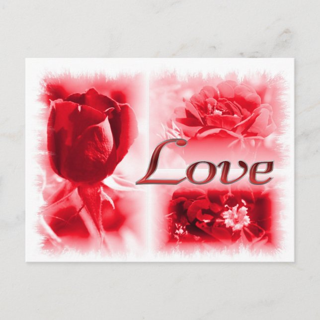 Carte Postale Red Rose Love Trio (Devant)