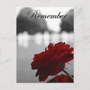 Carte Postale Red Rose Memorial Day