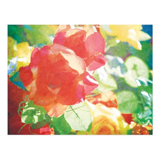 Carte Postale red roses