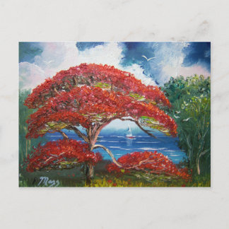Carte Postale Red Royal Poinciana Tree and Sailboat