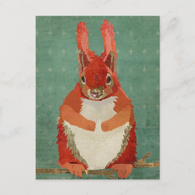 Carte Postale Red Squirrel Retro Postcard (Devant)