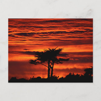 Carte Postale Red Sunset, Père Noël Cruz Californie