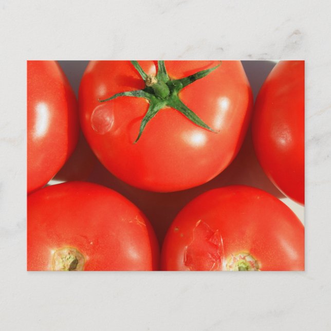 Carte postale Red Tomatoes (Devant)