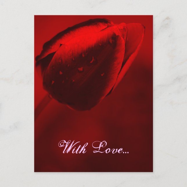 Carte postale Red Tulip (Devant)