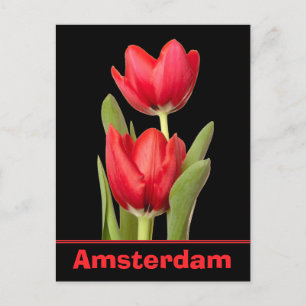 Carte Postale Red Tulips Amsterdam