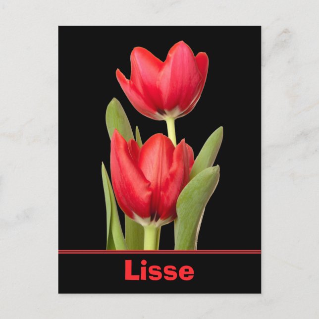 Carte Postale Red Tulips Lisse (Devant)
