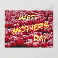 Carte postale Red White Tulips Motif Fête des mère