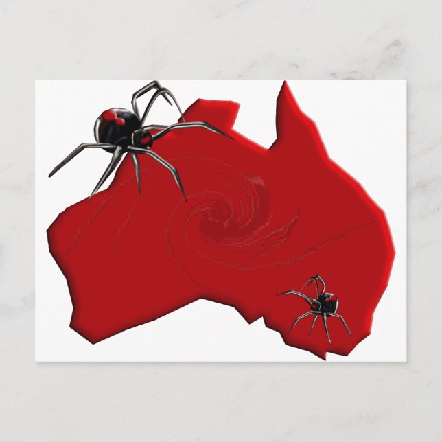 Carte Postale Redback Spider Australie (Devant)