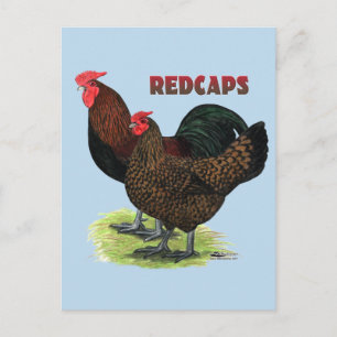 Carte Postale Redcaps anglais