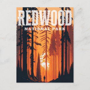 Carte Postale Redwood National Park, CA Postcard