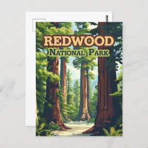 Carte Postale Redwood National Park California Tree Retro