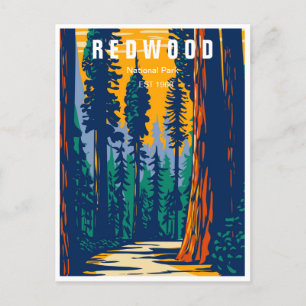 Carte Postale Redwood National Park Californie Forêt Vintage