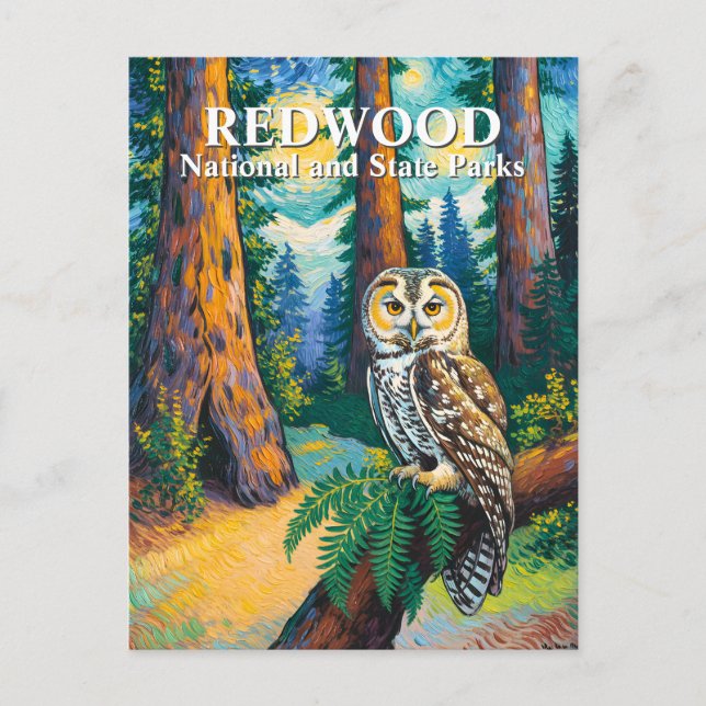 Carte Postale Redwood National Park Forest Owl Van Gogh Style (Devant)