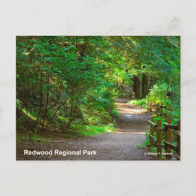 Carte Postale Redwood Regional Park California Produits (Devant)