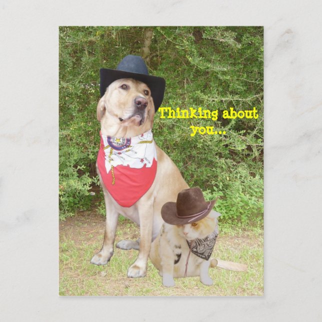 Carte Postale Réfléchissez à votre sujet (Devant)