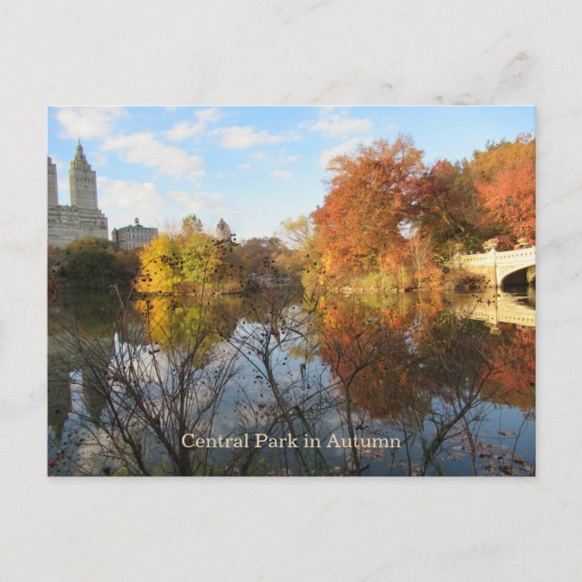 Carte postale Reflections Central Park New York Ci (Devant)