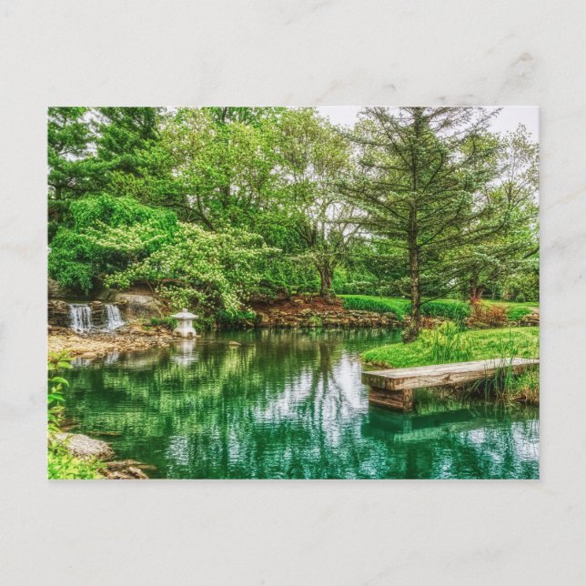 Carte Postale Réflections vertes (Devant)