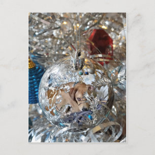 Carte Postale Reflet de l'ampoule en argent