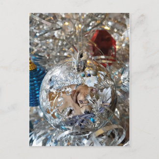 Carte Postale Reflet de l'ampoule en argent