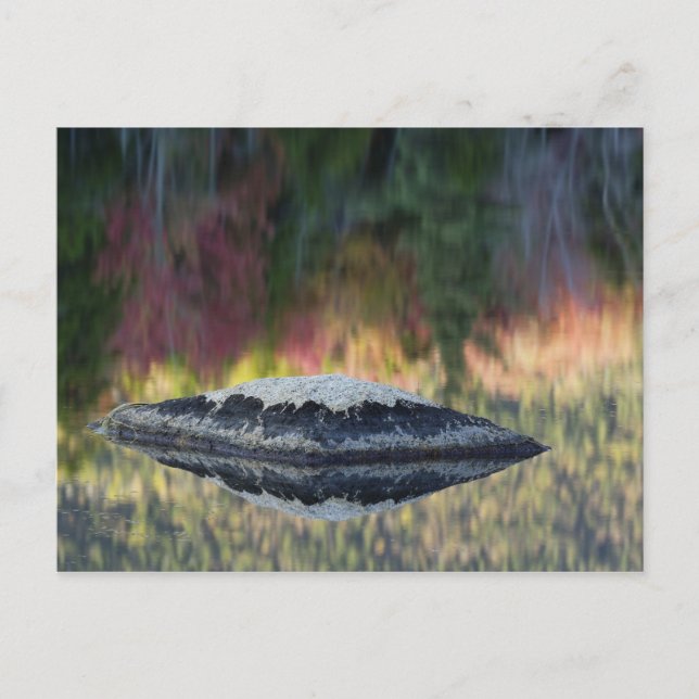 Carte Postale Reflet de roche et d'arbre, Lily Pond, Blanc (Devant)