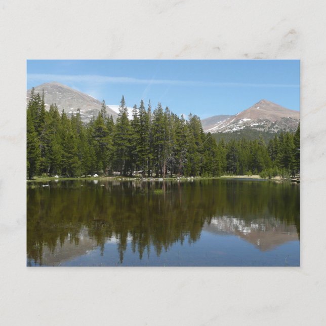 Carte Postale Reflet du lac de Yosemite (Devant)