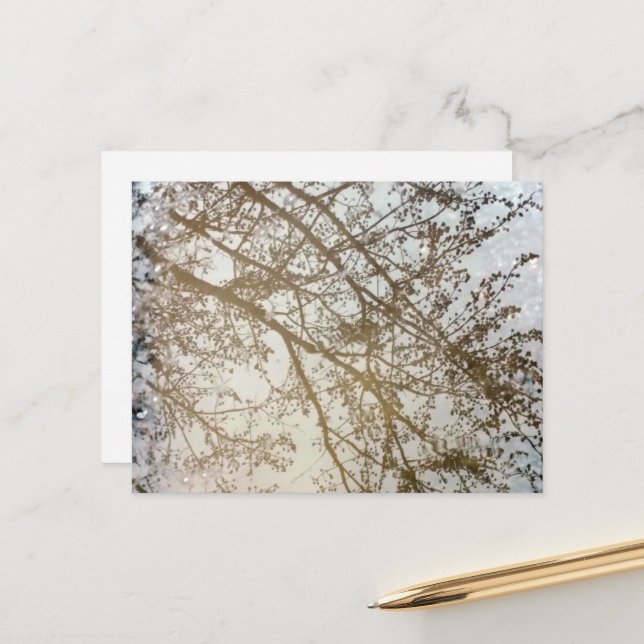 Carte Postale Reflets d'arbre printanier sur la mare de chemin c (Devant/Arrière en situation)