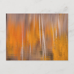 Carte Postale Reflets d'automne sur l'étang aux castors Winthr