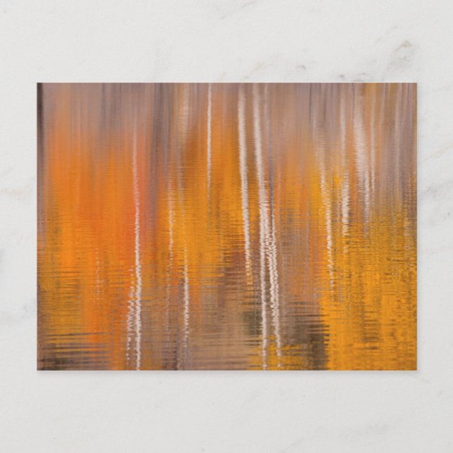 Carte Postale Reflets d'automne sur l'étang aux castors | Winthr (Devant)