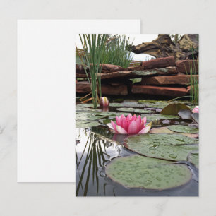 Carte Postale Reflets de nénuphars roses Photographie