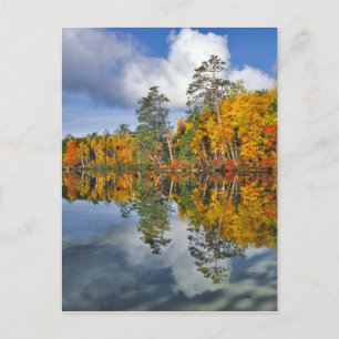Carte Postale Reflets d'étang en automne, Maine