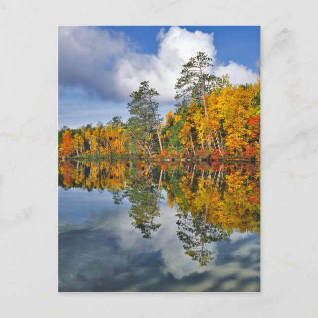 Carte Postale Reflets d'étang en automne, Maine (Devant)