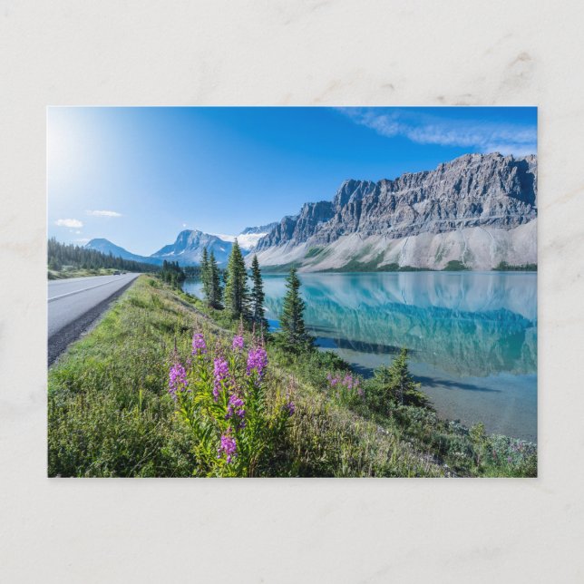 Carte Postale Reflets du lac Bow Banff montagne (Devant)
