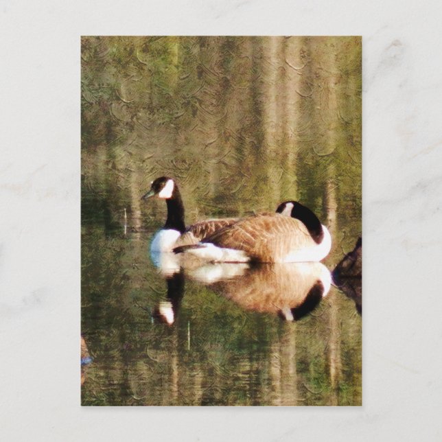 Carte Postale Réflexion (Devant)