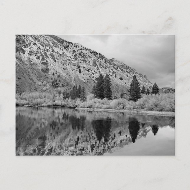 Carte postale Réflexion (Devant)