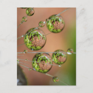 Carte Postale Réflexion de gouttelette d'eau