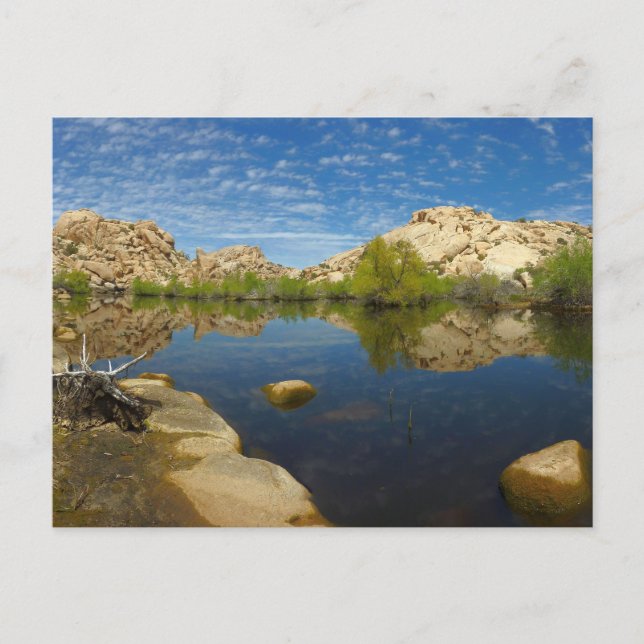 Carte Postale Réflexion du Barker Dam à Joshua Tree II (Devant)