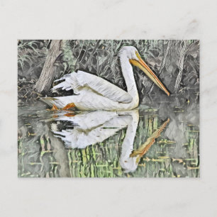 Carte Postale Réflexion du pélican blanc dans la peinture à l'hu