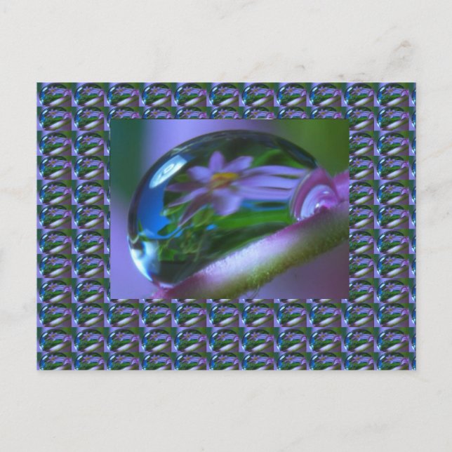 Carte Postale RÉFLEXION Fleur sur une DEW DROP . CADEAUX bas pri (Devant)