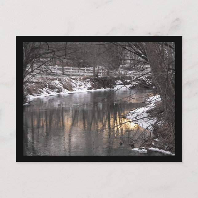 Carte Postale Réflexion pacifique (Devant)