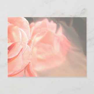 Carte Postale Réflexion rose rose pâle en argent
