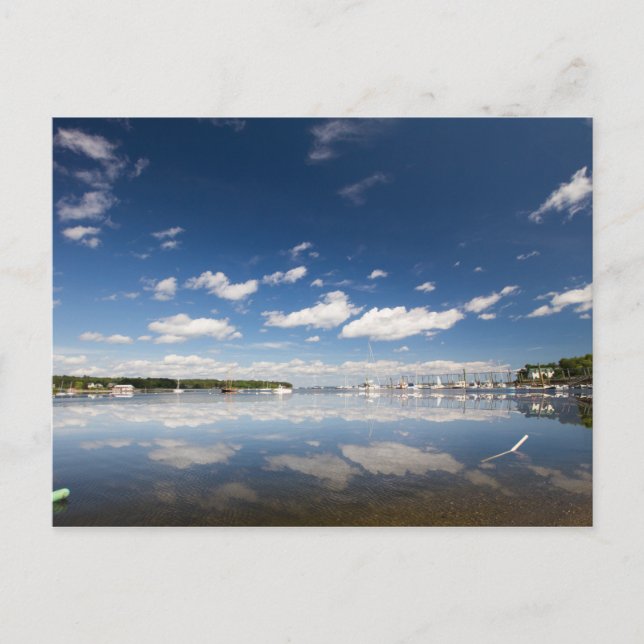 Carte Postale Réflexion sur le ciel au port de Belfast, Maine (Devant)