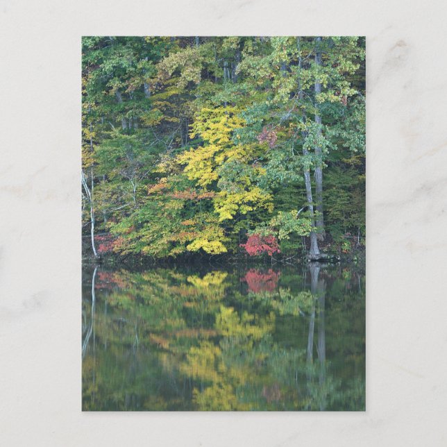 Carte Postale Réflexions d'automne (Devant)