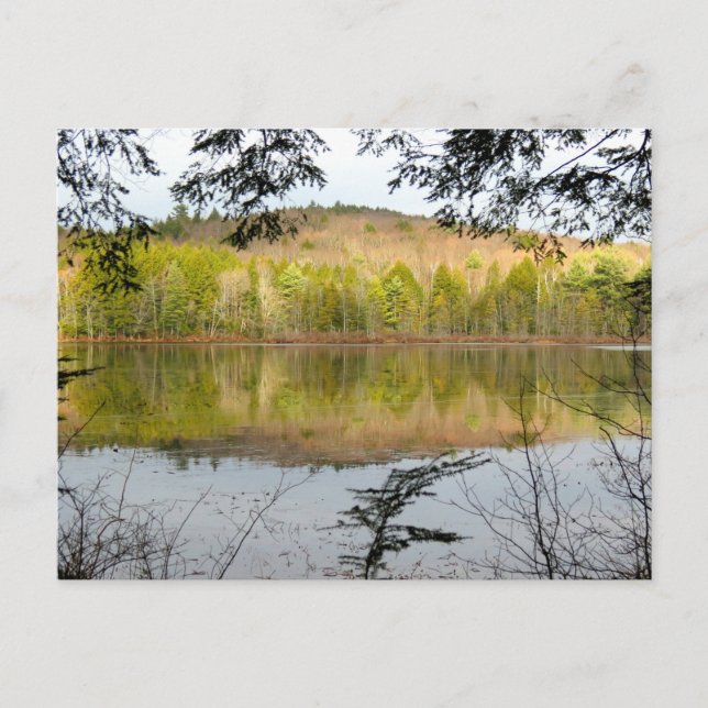 Carte Postale Réflexions de Fullam Pond (Devant)