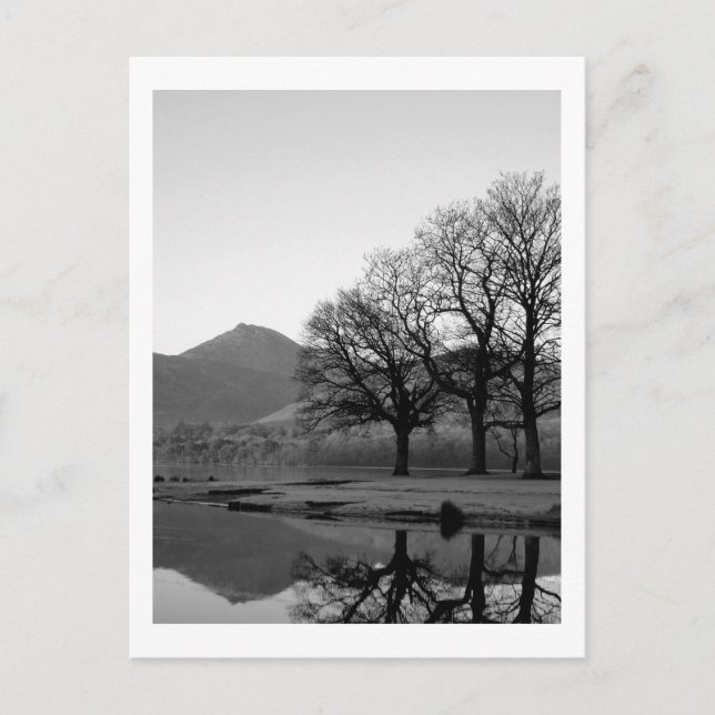 Carte Postale Réflexions de Strandshag Bay à Derwentwater Postca (Devant)