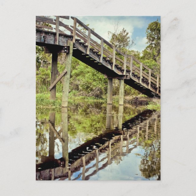 Carte Postale Réflexions des marais de la baratarie (Devant)