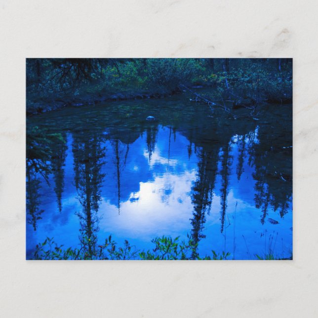 Carte Postale Réflexions du soir (Devant)