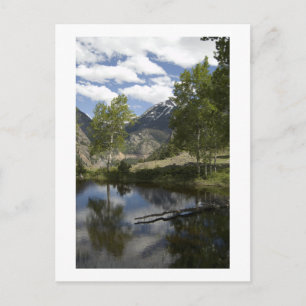 Carte Postale réflexions le long du sentier