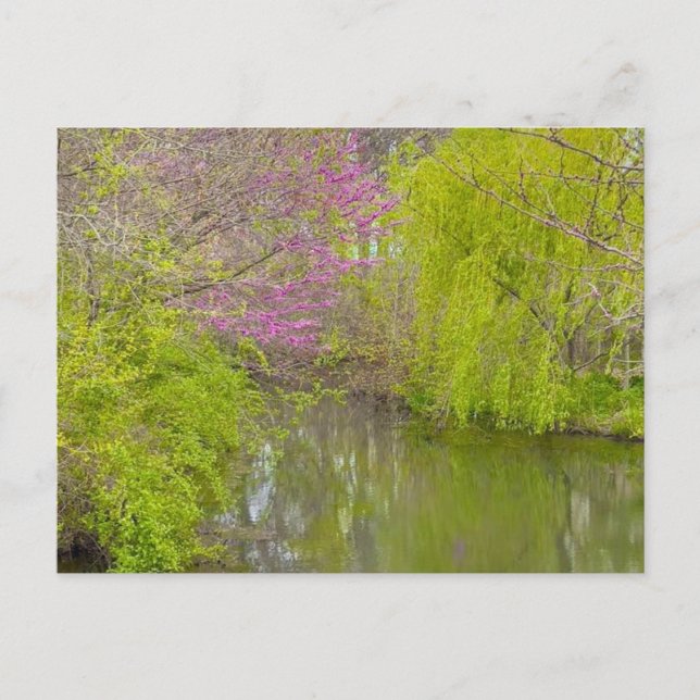 Carte Postale Réflexions sur la nature (Devant)